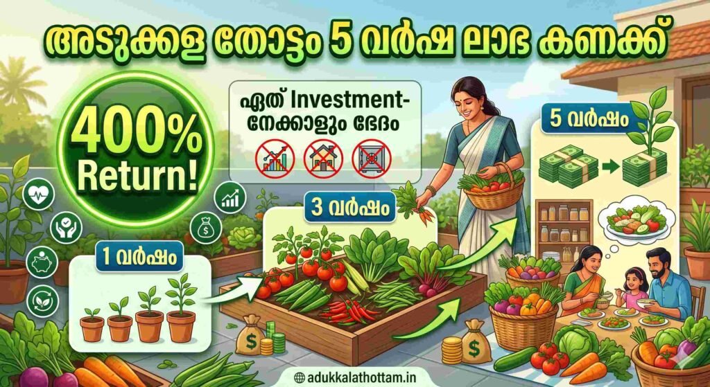 അടുക്കള തോട്ടം 5 വർഷ ലാഭ കണക്ക് — adukkalathottam.in 