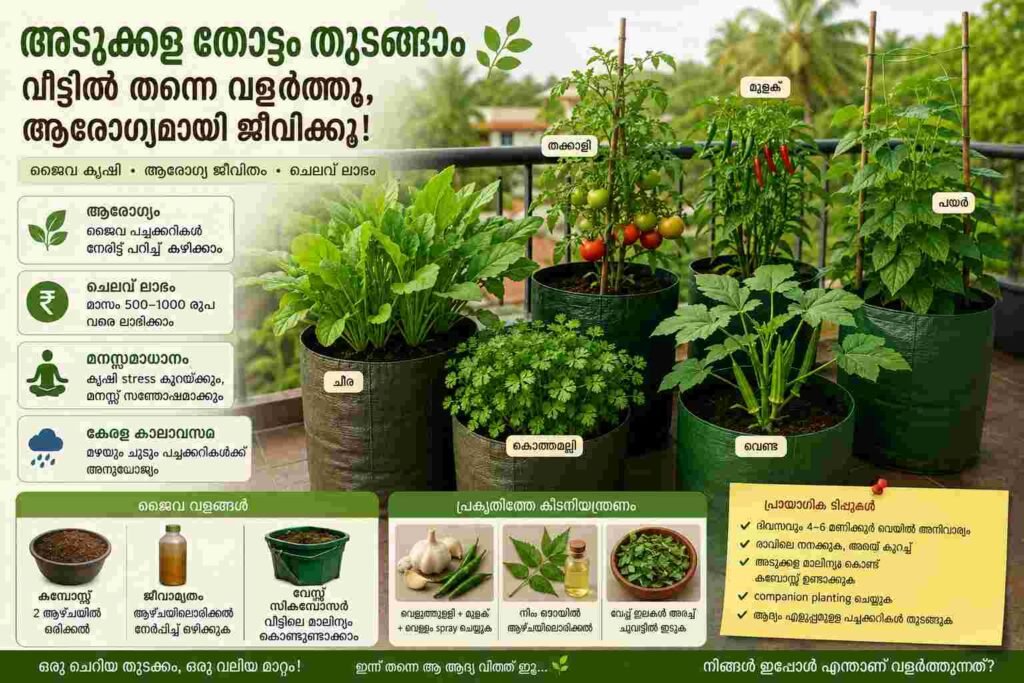 Fresh organic kitchen garden in Kerala with vegetables growing in grow bags
