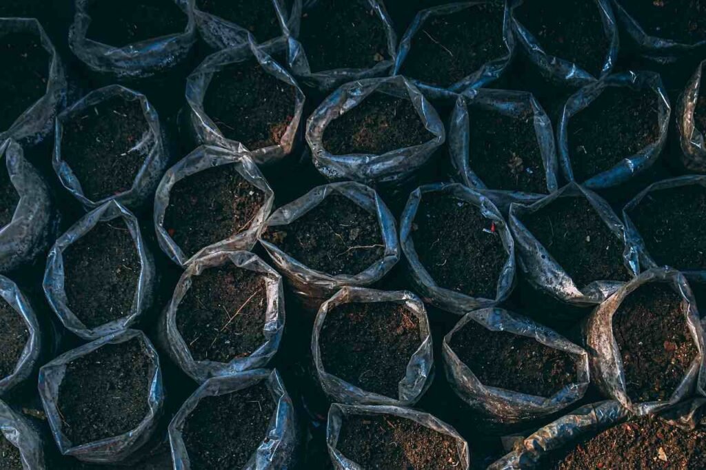 മഴക്കാലത്തെ അടുക്കളത്തോട്ടം How to prepare grow bags for balcony farming Kerala monsoon