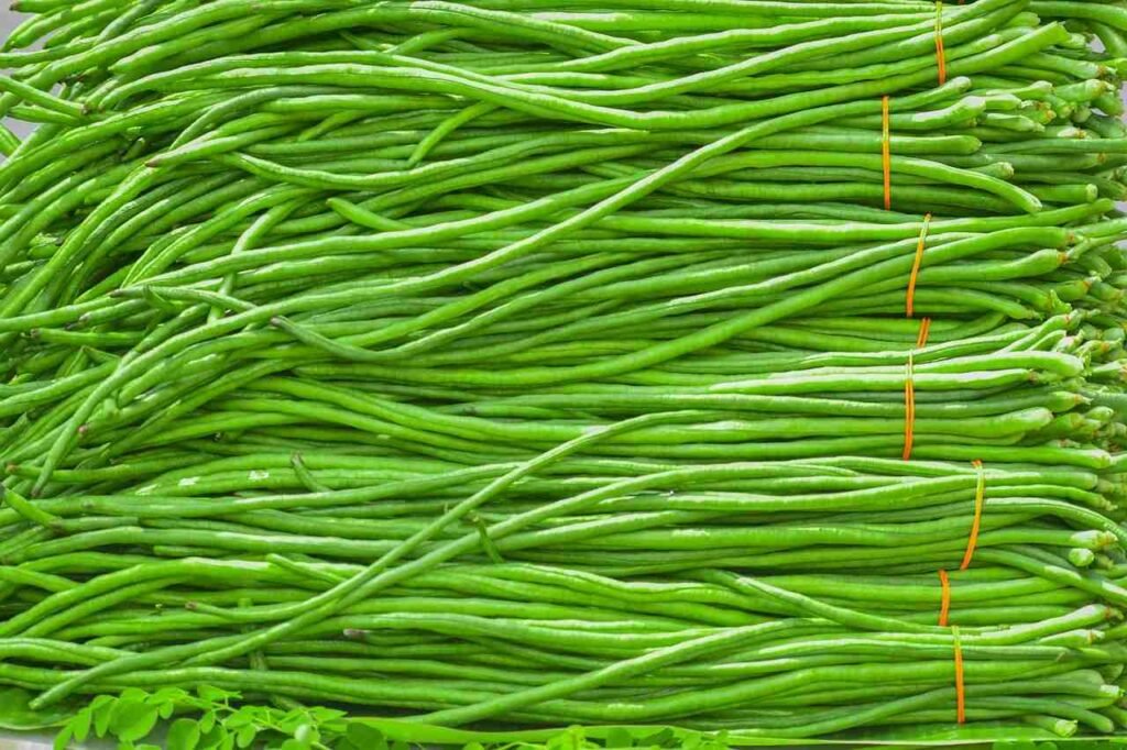 Payar krishi Kerala kitchen garden organic vegetables cultivation guide 