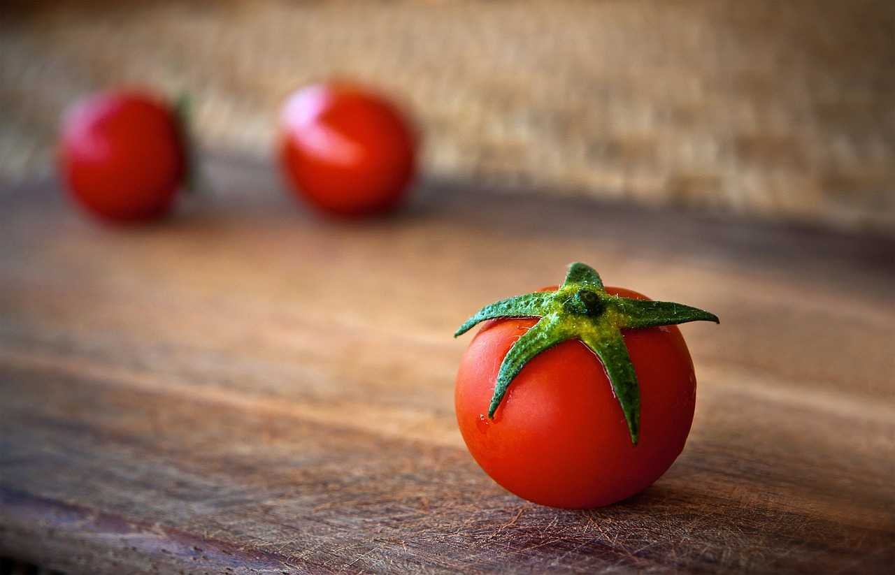 May agriculture tasks kitchen garden organic vegetables Kerala planning അടുക്കള തോട്ടം മെയ് മാസത്തിലെ കൃഷി പണികൾ