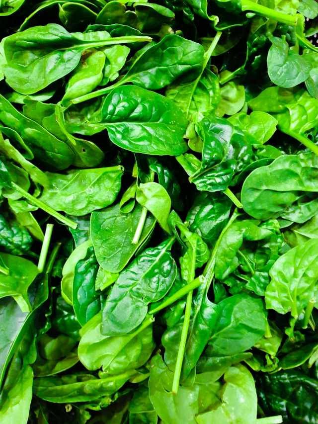 ഇലക്കറികൾ Kerala organic leafy vegetable pest disease problem natural remedy kitchen garden