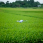 digital agriculture certificate course amrita