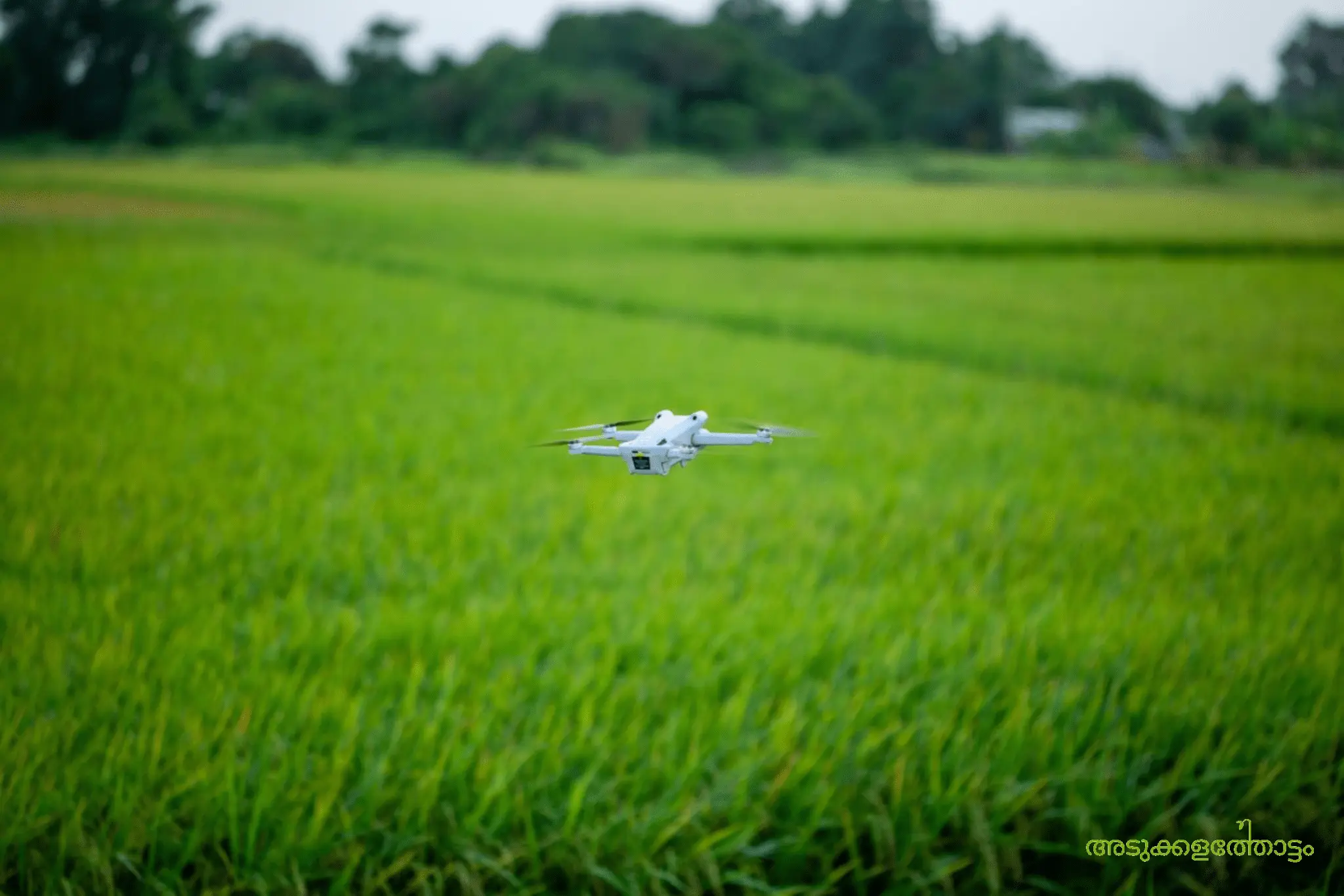 digital agriculture certificate course amrita