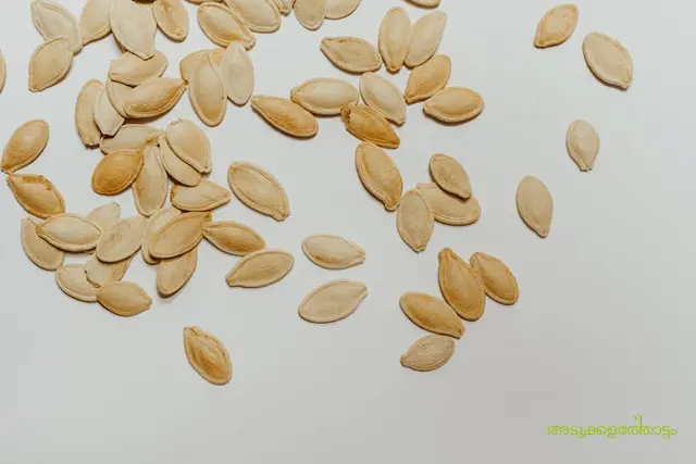 ഹൈബ്രിഡ് വിത്തുകൾ
